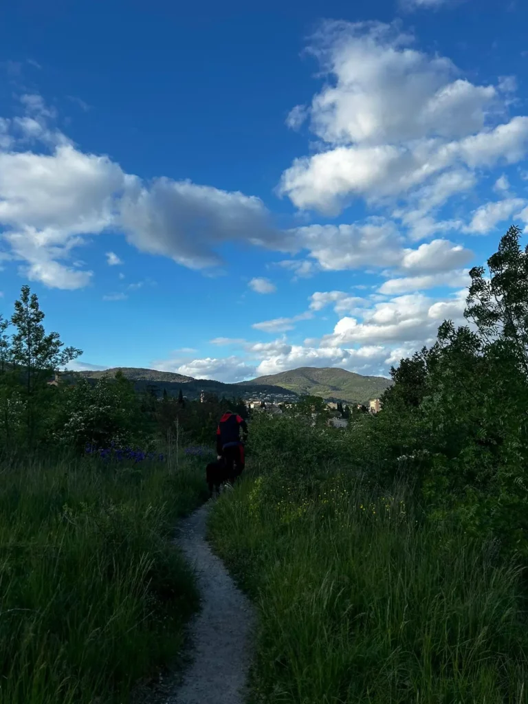 Une photographie de sentier de randonnée serpentant à travers une végétation luxuriante, avec un promeneur et son chien marchant vers des montagnes verdoyantes sous un ciel bleu parsemé de nuages blancs.