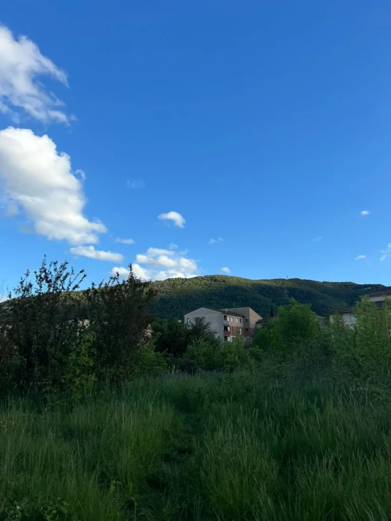 Un champ verdoyant avec des maisons et une colline en arrière-plan sous un ciel bleu.