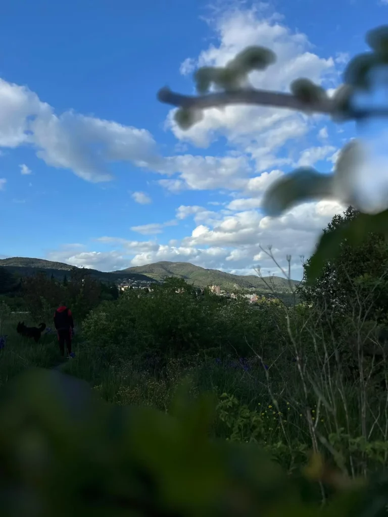 Une photographie de sentier de randonnée encadré de végétation luxuriante, avec un promeneur en veste rouge et noir et son chien marchant vers des montagnes verdoyantes. Au premier plan, une branche floue est visible, ajoutant de la profondeur à l'image. Le ciel est bleu avec des nuages blancs épars.